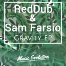 RedDub, Sam Farsio - Gravity (Original Mix)