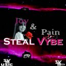 Steal Vybe - Joy & Pain