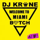 DJ Krone - Welcome To Miami (Radio Mix)