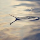 Marco Madia - Landfall