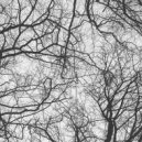 Sebastian Mullaert - You're An Orchestra In The Cosmos