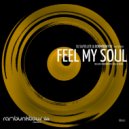 DJ Satellite & Dormidontov feat. Eleysha - Feel My Soul (Dormidontov Soulful Remix)
