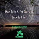 Moe Turk, Fat Cat Slim - Back To Life (Original Mix)