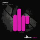 Lifekick - Grey Paw