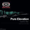 Pure Elevation - Cosmic Vibe (2Am Mix)