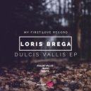 Loris Brega - Route (Original Mix)