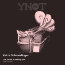 Katze Schroedinger - Not Being Here