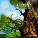 Lacerta - Sunrise Drops