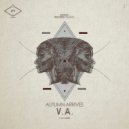 Javi Always - I Like