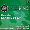 Paul Ant - Strick Bird (Vincent Hiest & Digital Session Remix)