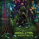 Drurry Nevil - Psychedelic Experience