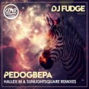 DJ Fudge - Pedogbepa