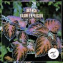 Dranga feat. Brain Explosion - The Interview