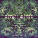Bizzare Frequency - Shaman (Original Mix)