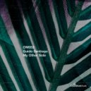 Guido Santiago - Loss Of Signal