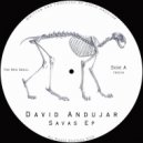 David Andujar - Grees (Original Mix)