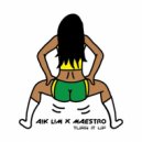 A!k L!m & Maestro - Turn It Up (Original Mix)