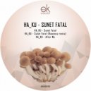 HA_KU - Sunet Fatal (Rawness Remix)