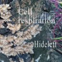 Hideleft - Cell Respiration