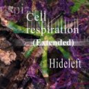 Hideleft - Cell Respiration