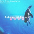 Next Tribe - Aquamarine (Extended)