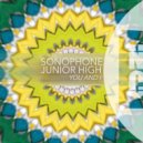 Sonophone, Junior High - You & I (Radio Edit)