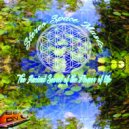Stereo Space - The Ancient Secret Of The Flower Of Life (Original Mix)