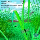 Kernel Key - Vetiver (Gavin Herlihy Remix)
