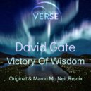 David Gate - Victory Of Wisdom
