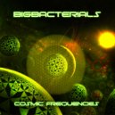 Bigbacterials - Magnetic Storm