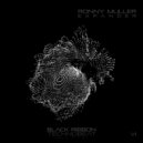 Ronny Muller - Expander