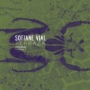 Sofiane Vial - Wednesnight