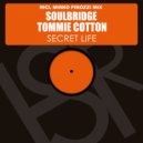 Soulbridge feat. Tommie Cotton - Secret Life