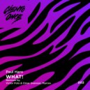 Paul Haro - What! (Marcex Remix)