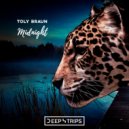 Toly Braun - Midnight (Gabriel Pivaro Remix)
