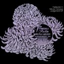 Nikola Carusso - Rain Drop (Original Mix)