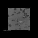 Nomoonthere - Chord #7