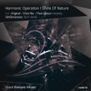 Harmonic Operation - Shine Of Nature (Paul Gibson Remix)