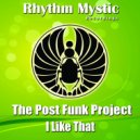 The Post Funk Project - I Like That (Original Mix)