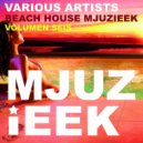 Paolo Viez - Funknova (Original Mix)