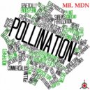Mr.MDN - Pollination (Original Mix)
