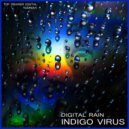 Indigo Virus - Focus