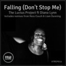 The Lucius Project ft Diana Lynn - Falling (Don't Stop Me)