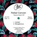 Rafael Cancian - Moogalicious