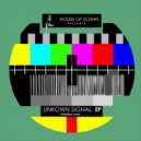 SoilyQue Land - Unkown Signal
