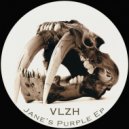 Vlzh - Frqncy Control (Original Mix)