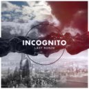 Last Ronin - Incognito (Original Mix)