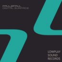 Paul2Paul - Solar Ghosts