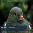 Ned Ward - Columbidae (Original Mix)