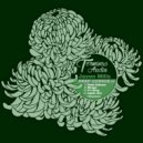 Jason Mills - Mirage